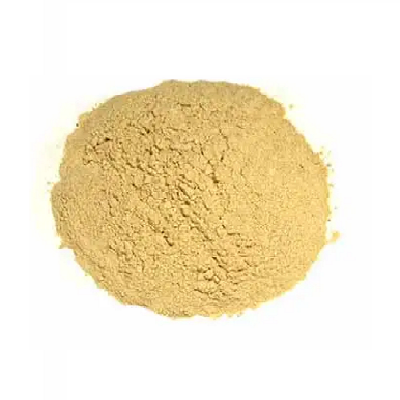 GARLIC POWDER