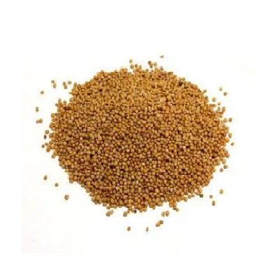 MUSTARD SEEDS